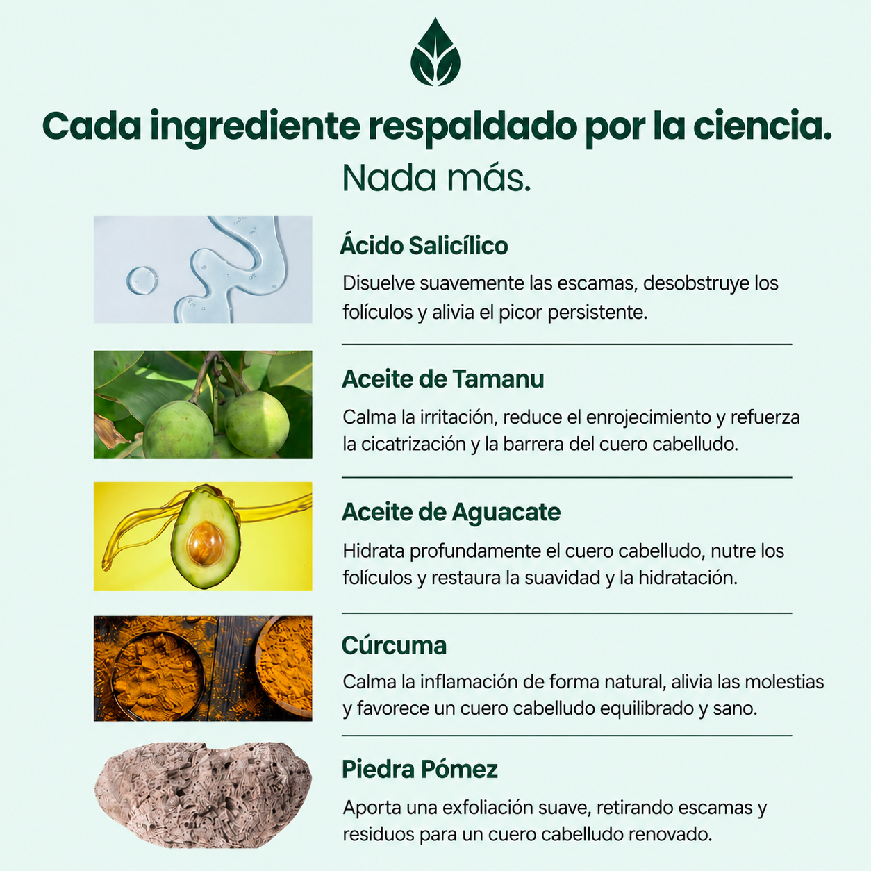 Exfoliante Capilar Natural